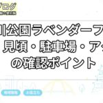 荒子川公園ラベンダーフェア2026|見頃・駐車場・アクセスの確認ポイント