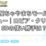 名古屋ちゃやまちモール徹底レビュー｜ロピア・クリエイトSDの使い勝手は？