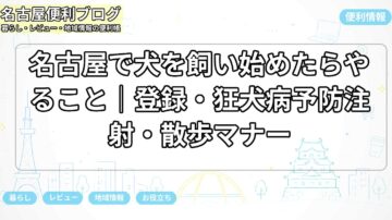 名古屋で犬を飼い始めたらやること|登録・狂犬病予防注射・散歩マナー